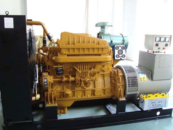 白茅湖农场有哪些有效的方法可以预防柴油发电机组的蓄电池出现硫化现象？